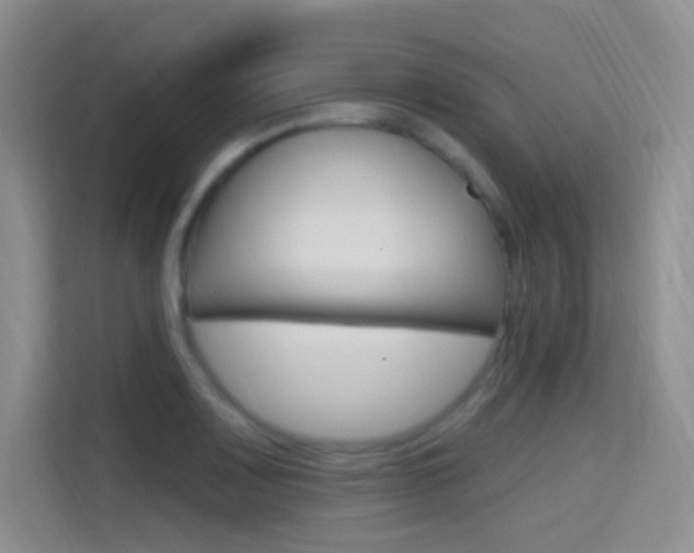 X0000114731083200910211058
