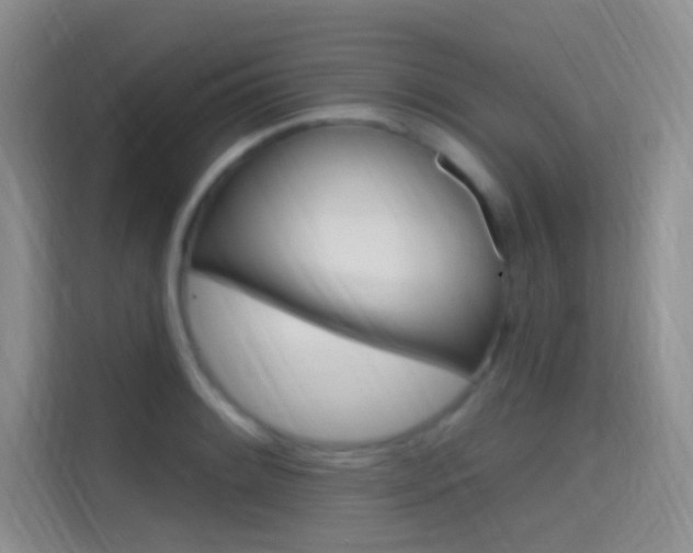 X0000114731084200910211058