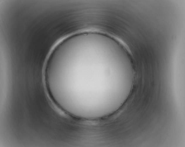 X0000114731086200910211058