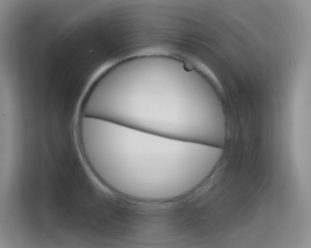X0000114731087200910211058