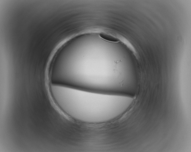 X0000114731088200910211058