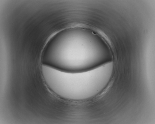 X0000114731089200910211058