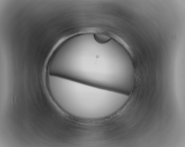 X0000114731091200910211058