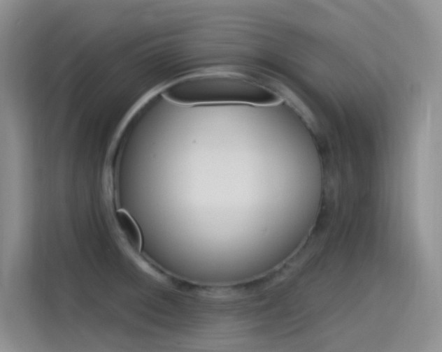 X0000114731092200910211058