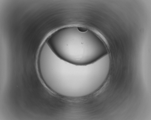 X0000114731093200910211058