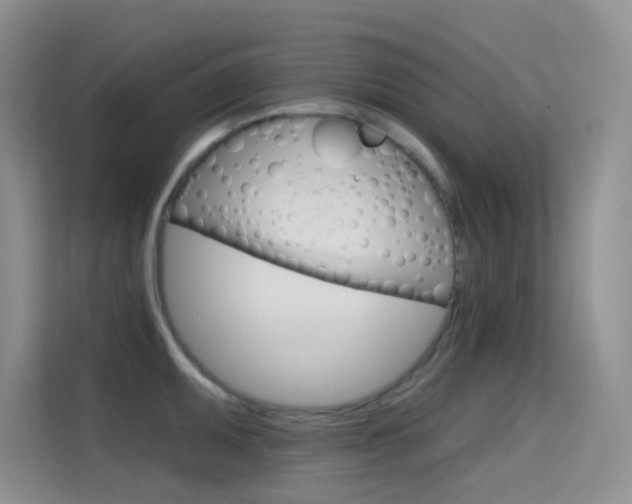 X0000114731095200910211058