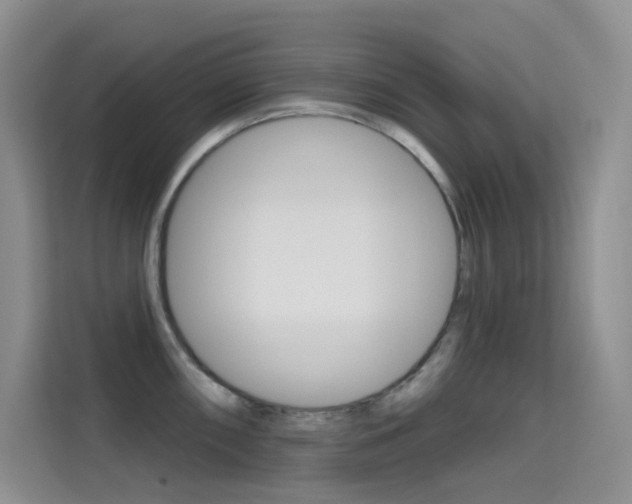 X0000114731098200910211058