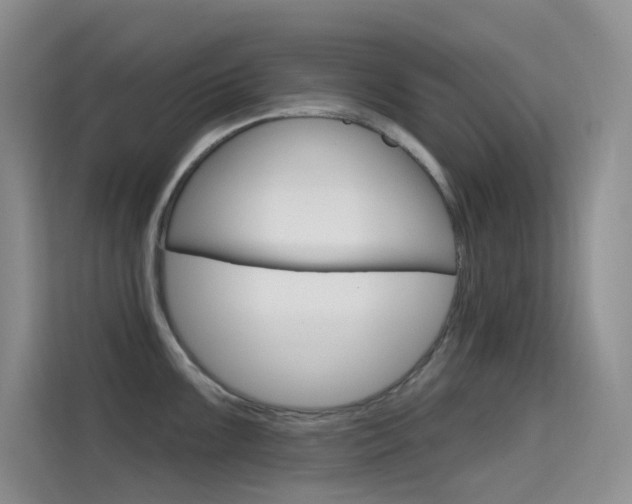 X0000114731099200910211058