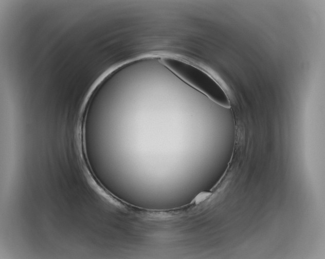 X0000114731100200910211058