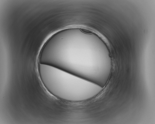 X0000114731102200910211058