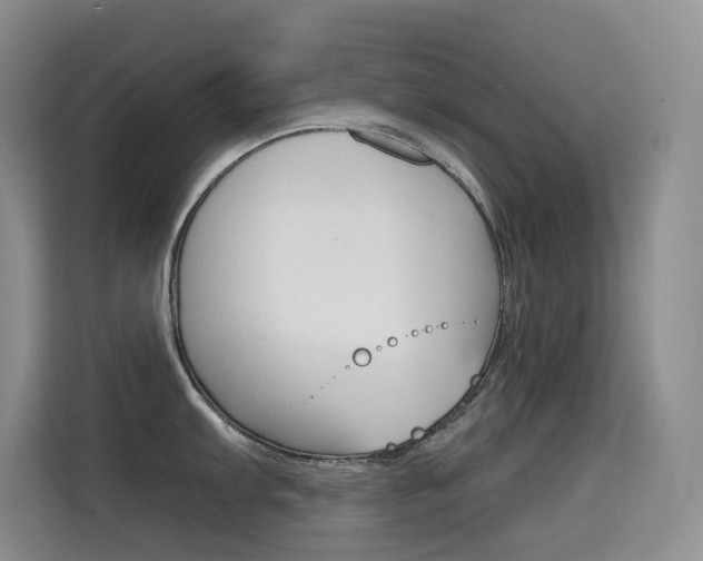 X0000114731103200910211058