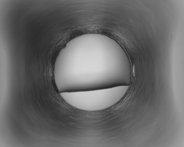 X0000114731107200910211057