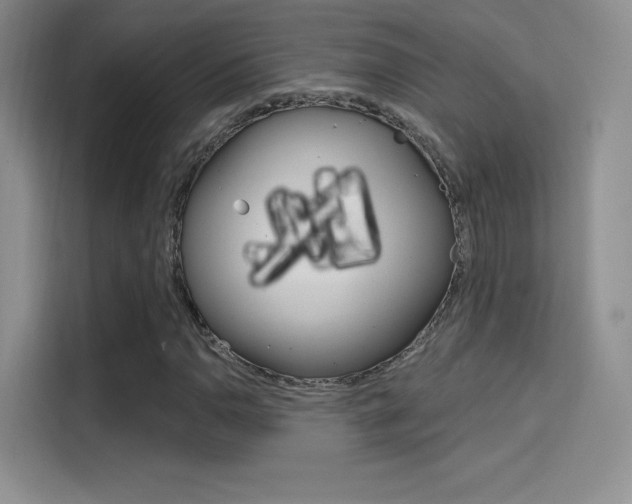 X0000114731110200910211057