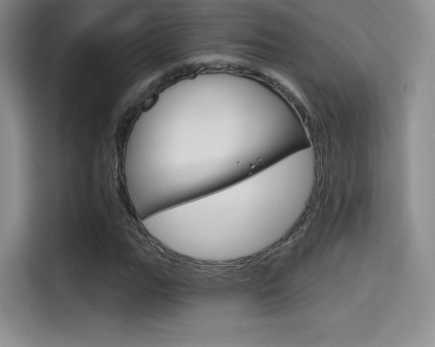 X0000114731111200910211057