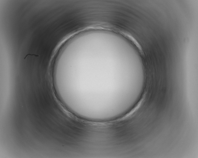 X0000114731114200910211057