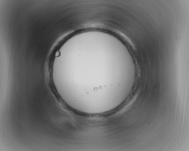 X0000114731117200910211057