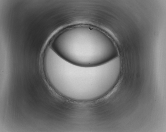 X0000114731118200910211057