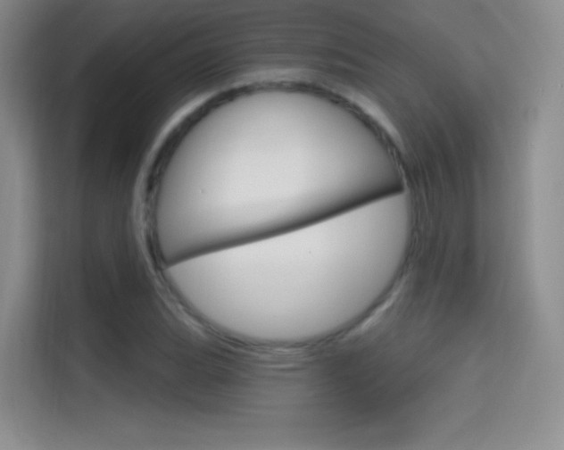 X0000114731119200910211057
