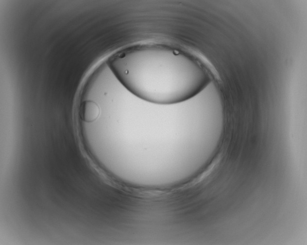 X0000114731122200910211057