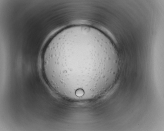 X0000114731125200910211057