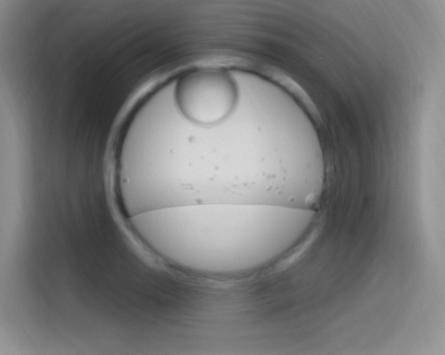 X0000114731130200910211057