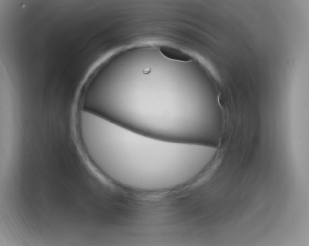 X0000114731134200910211057