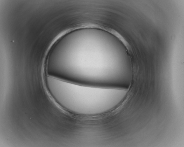 X0000114731142200910211057