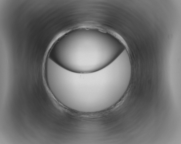 X0000114731146200910211057