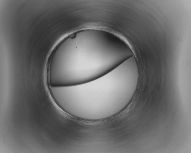 X0000114731147200910211057