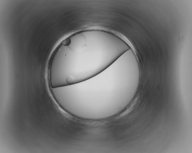 X0000114731149200910211057