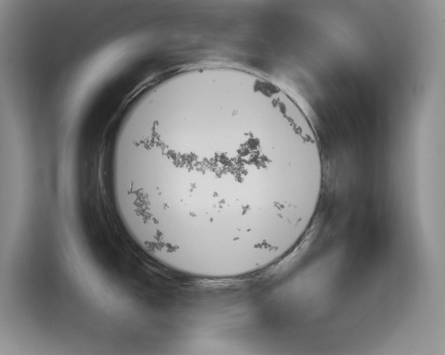 X0000114731150200910211057