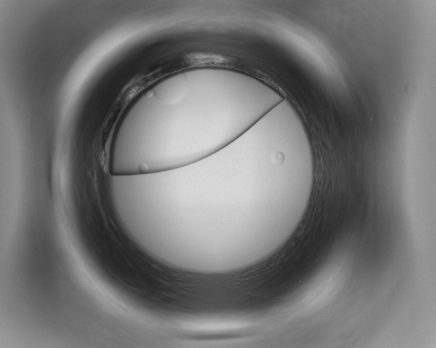 X0000114731151200910211057