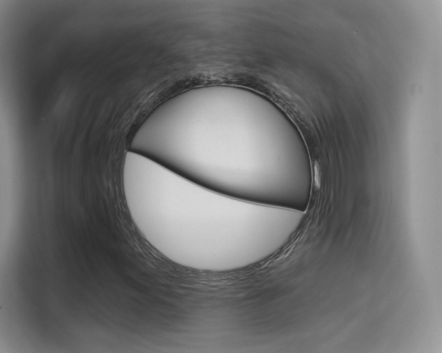 X0000114731155200910211057