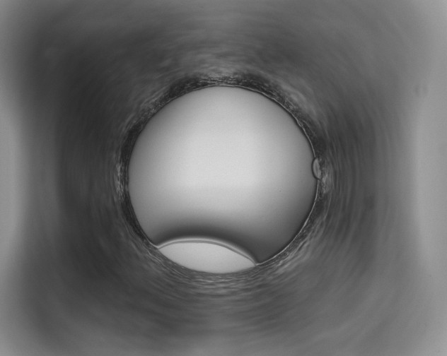 X0000114731156200910211057