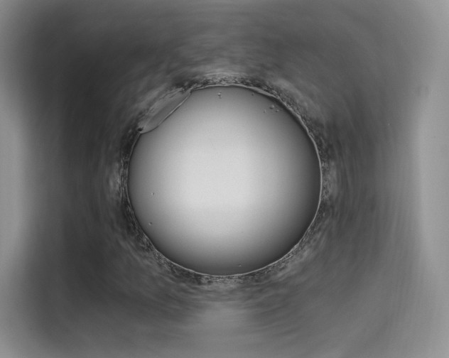 X0000114731157200910211057