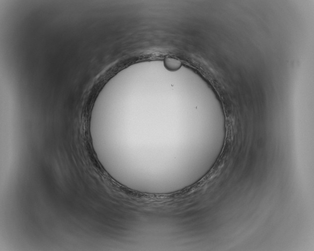 X0000114731158200910211057