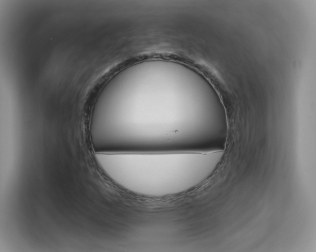 X0000114731159200910211057