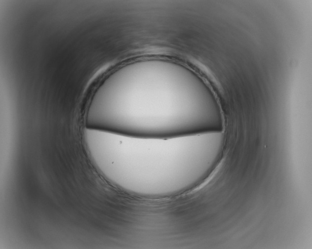X0000114731163200910211057
