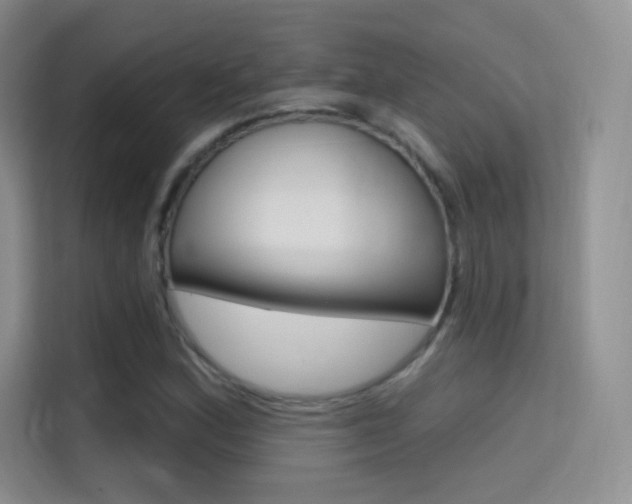 X0000114731164200910211057