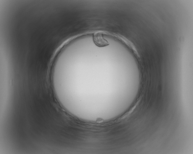 X0000114731167200910211057