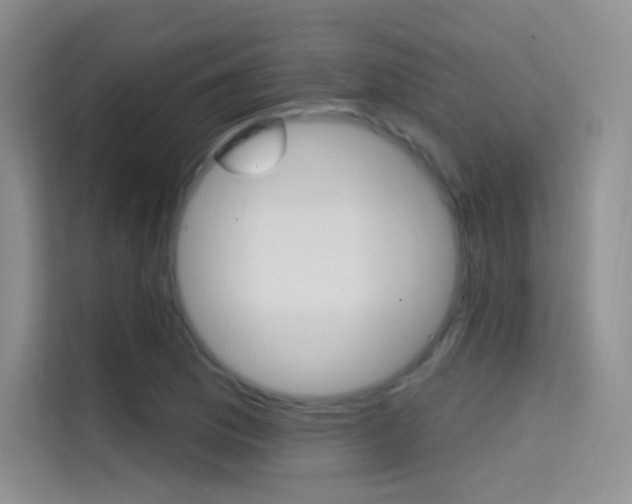 X0000114731169200910211057
