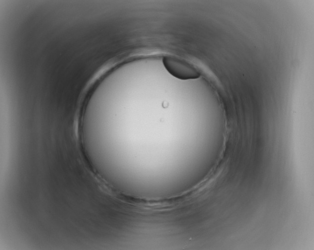 X0000114731173200910211057