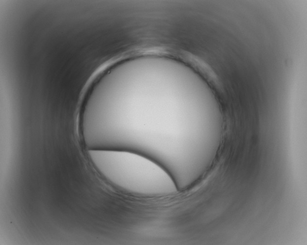 X0000114731174200910211057