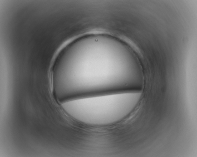 X0000114731175200910211057