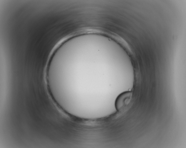 X0000114731182200910211057