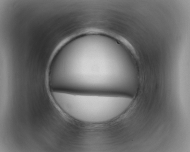 X0000114731183200910211056