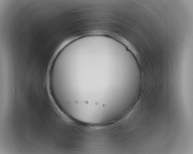X0000114731187200910211056