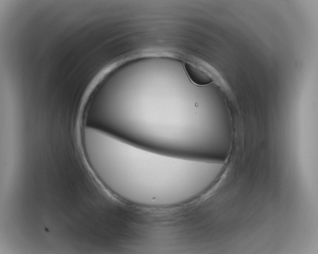 X0000114731188200910211056