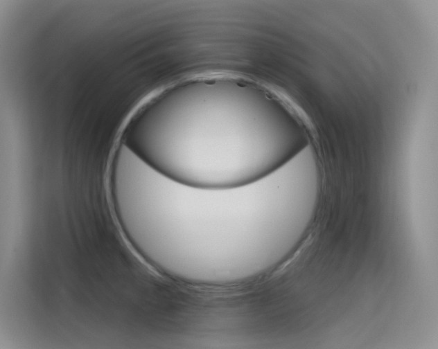 X0000114731189200910211056