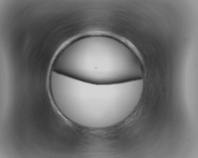 X0000114731191200910211056
